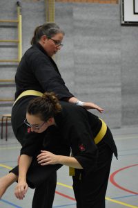 zelfverdediging karate Shuri Ryu Leiden