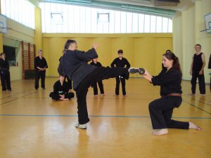 shuri-ryu karate mawashi geri kick training