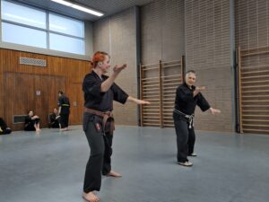karate training kata